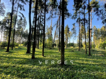 Земельный участок 59.6м КП Ренессанс Парк